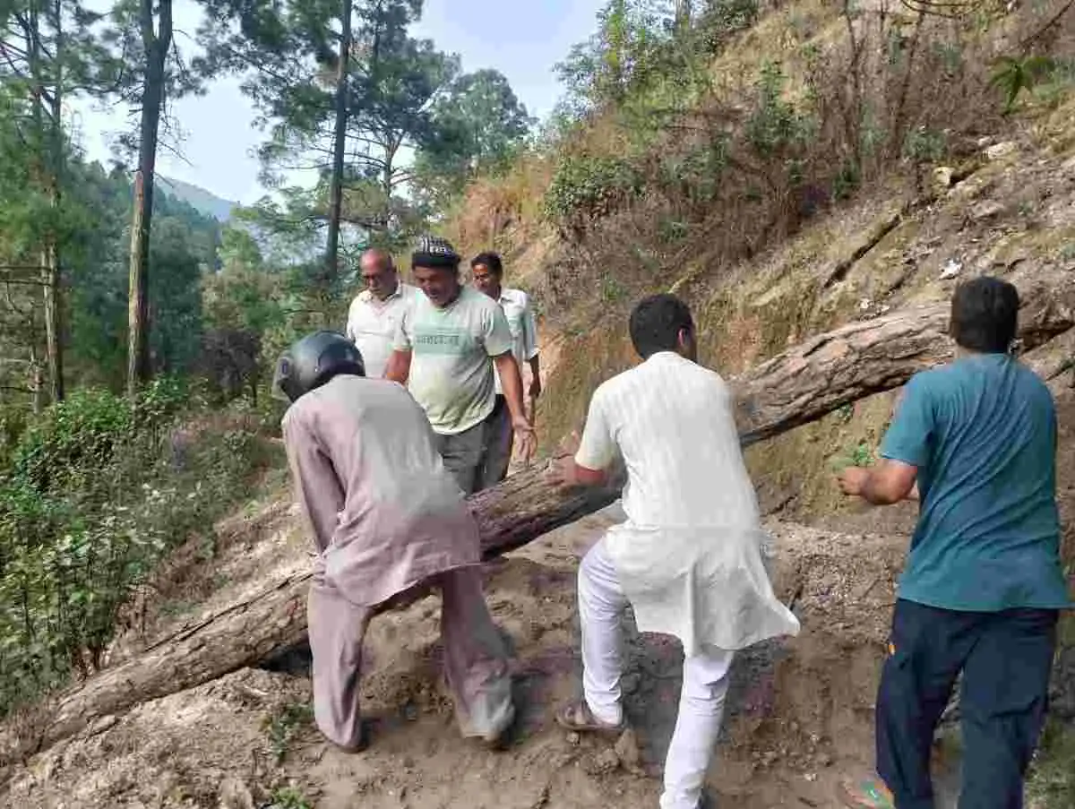 पाटी (चंपावत):ग्रामीणों ने श्रमदान कर खोली बांस  बसवाड़ी गर्शलेख सड़क सरकार की नाकामी की उजागर पक्की सड़क के लिए जूझते ग्रामीण।
