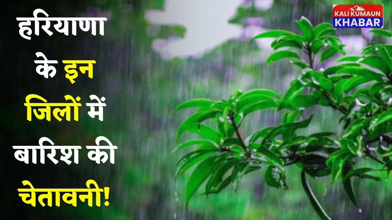 Haryana Weather: हरियाणा के इन जिलों में बारिश की चेतावनी! इस तारीख तक रहेगा अलर्ट 