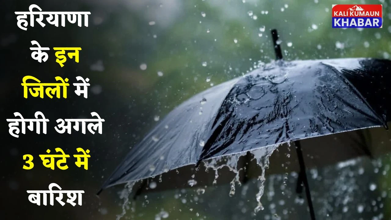 Haryana Weather: हरियाणा के इन जिलों में होगी अगले 3 घंटे में बारिश, देखें ताजा अपडेट 